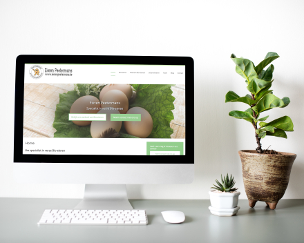 Business Website Software