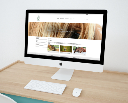 Business Website Software