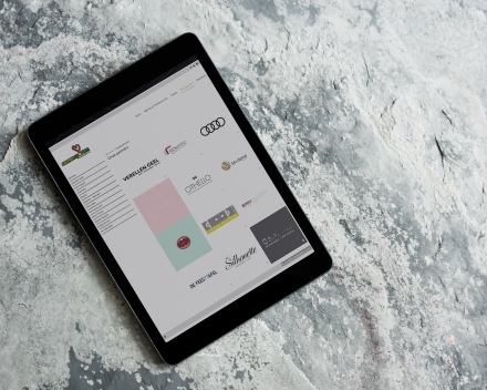 Business Website Software